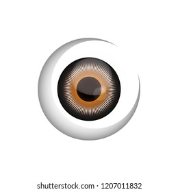 eyeball vision on white background