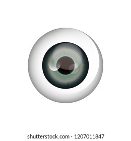 eyeball vision on white background