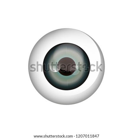 eyeball vision on white background