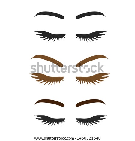 eyebrow brows with eyelash lashes vectors illustration