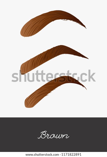 Eyebrow Color Gradient Set Banner Brown Stock Vector Royalty Free