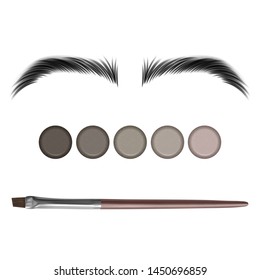 Eyebrow color swatch on white background, realistic illustration in vector format