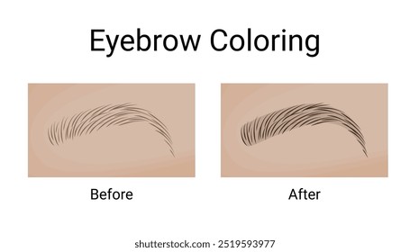 Eyebrow Coloring Transformation. Before and After
