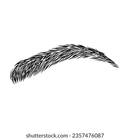 Eyebrow design logo. Vector brow. Minimalism.