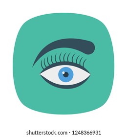 eyebrow   eye  makeup  