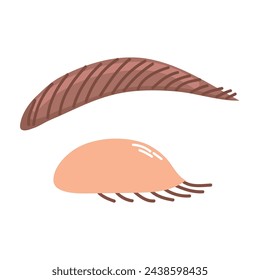 Eyebrow icon clipart avatar isolated vector illustration