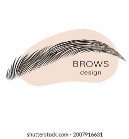 Eyebrow logo. Vector illustration. Brows design.