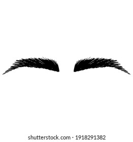 Eyebrow perfectly shaped, vector eyebrows, business card template, tattooing, permanent make-up, graphic, element, decorative, blading, micro, eyebrow, lash, eyes, vector, threading, illustration, mak