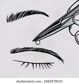 eyebrow plucker line art. vector eyebrow plucker tweezers line art drawing illustration for the beauty parlor. Beauty Product clip art