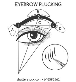 Eyebrow plucking concept isolated on white background. Vector illustration