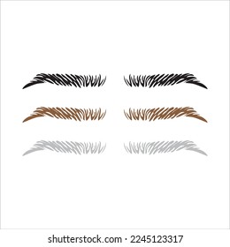 eyebrow set icon, vector, illustration