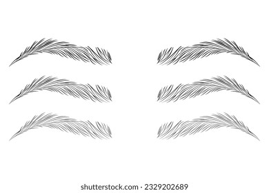 Eyebrow shape set, Brown eyebrow bag, types of eyebrows vector illustration