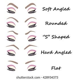 Eyebrow shapes illustration. Different eyebrow set illustration.  Vector illustration.
