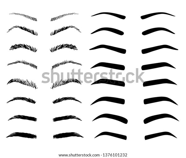 Eyebrow shapes illustration set. Various types\
of eyebrows.
