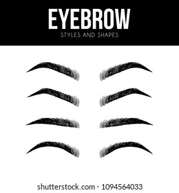 Eyebrow shapes. Various types of eyebrows. Classic type and other. Trimming. Vector illustration with different thickness of brows. Makeup tips.