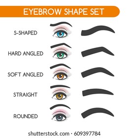 Eyebrow Shape Chart