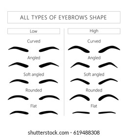 Eyebrow Shape Chart