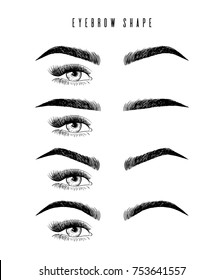 Eyebrow shaping for women face makeup. Eyebrows shape set vector illustration. arious types of eyebrows. Classic type and other. Illustration with different thickness of brows. Makeup tips.