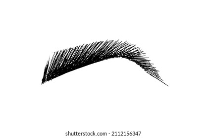 eyebrow silhouette tattoo permanent. beauty saloon. makeup - vector sketch on a white background. eyebrow hairs