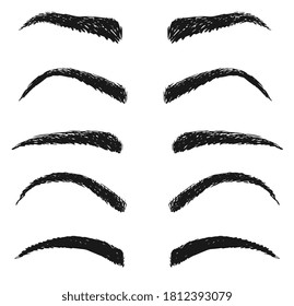 Eyebrow sketch. Fashion woman brow different form, shape and type set. Beauty industry, beautician parlor, salon sign design element. Hand-drawn vector perfect female eyebrow sketch illustration