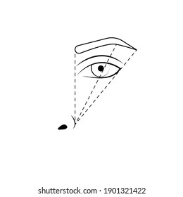 Eyebrow tattoo, marking scheme. Eyebrow correction, microblading. Vector illustration