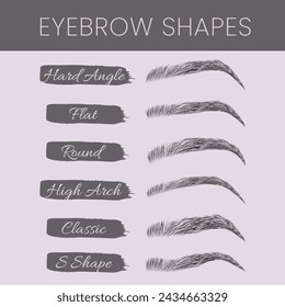 Eyebrows Brows Shapes Types Illustration