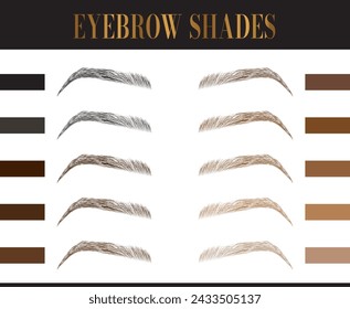 Eyebrows Colors Chart. Elegant Fashion Make Up Illustration 