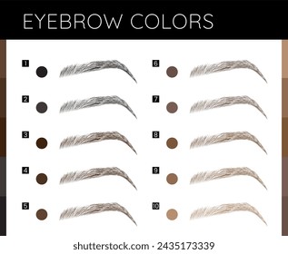 Eyebrows Colors Make Up Illustration 