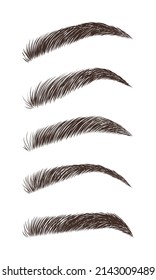 Eyebrows in different shapes. Linear vector Illustration in trendy minimalist style. Brow bar logo.