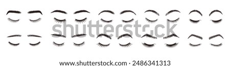 Eyebrows and eyelashes styles. Beauty eyebrow shapes and eyelash designs, natural eye makeup look. Realistic closed eyes with lashes and brow styling vector set. Fashion glamour salon elements.