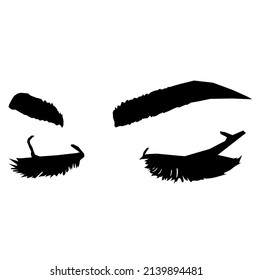 Eyebrows and eyes. Beautiful eyes with eyebrows, image. You can use it as a wall picture or a print on clothes. Vector illustration. 