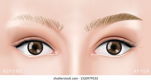 Eyebrows pencil before and after vector illustration