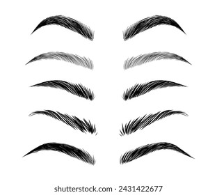 Eyebrows Vector Set. Beauty Collection Female Woman Girl Brows Different Form and Types. Permanent Makeup, Microblading, Micropigmentation. Hand Drawn Illustration.