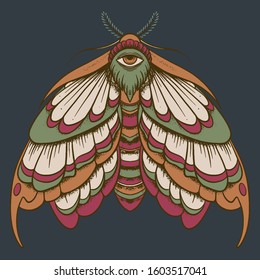 Eyed hawk-moth colored illustration, drawing, engraving, ink, line art, vector