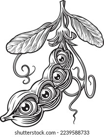 Eyed Peas Tattoo Stencil in Linocut Engraving Style. Vector Illustration