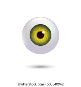 Eye.Human green pupil of eye ball