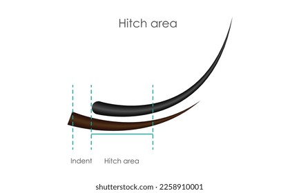 Eyelash bonding area, eyelash extension instructions