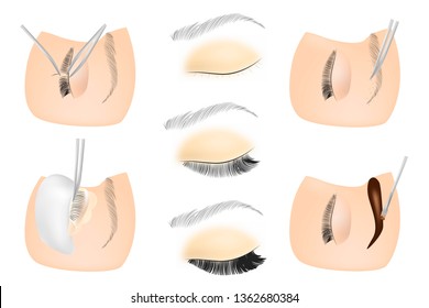 Eyelash cosmetic Procedures: Staining, Curling, Laminating,Extension for Lashes, shape eyebrows paints eyebrows