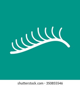 Eyelash, curler, eye icon vector image. Can also be used for makeup and accessories. Suitable for use on web apps, mobile apps and print media.