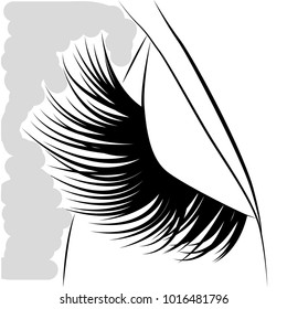 eyelash design,  background,  art,  abstract,  white,  black,  beautiful,