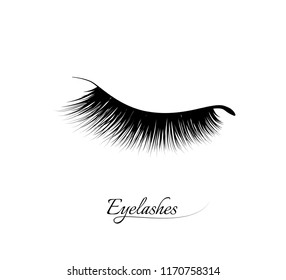 Eyelash Extension. Beautiful Black Long Eyelashes. Closed Eye . False Beauty Cilia. Mascara Natural Effect. Professional Glamor Makeup.