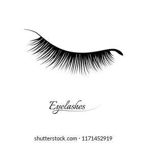 Eyelash Extension. Beautiful Black Long Eyelashes. Closed Eye . False Beauty Cilia. Mascara Natural Effect. Professional Glamor Makeup.