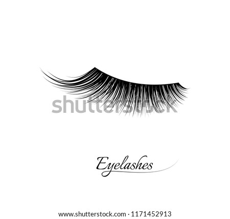 Eyelash extension. Beautiful black long eyelashes. Closed eye . False beauty cilia. Mascara natural effect. Professional glamor makeup.