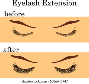 eyelash extension before and after, vector illustration