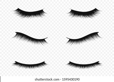 Eyelash extension concept. Lush black eyelashes on transparent background for makeup and cosmetic industry. Vector