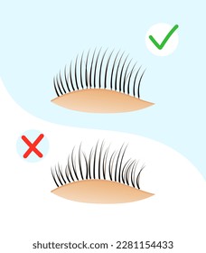 Eyelash extension. Educational poster eyelash extension. correct eyelash extension

