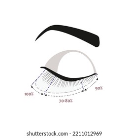 Eyelash extension guide. Different types of eyelash extensions. Styles for the most flattering look. Infographic vector illustration. Template for Makeup and cosmetic procedures. Training poster.