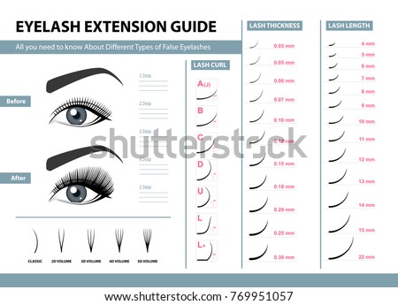 Eyelash extension guide. Different Types of False Eyelashes. Infographic vector illustration. Template for Makeup and cosmetic procedures. Training poster Foto stock © 