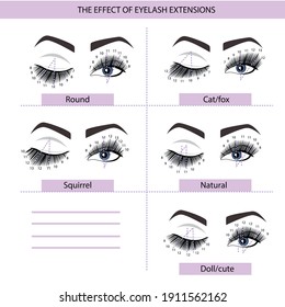 Eyelash Extension Guide. Direction schemes. Tips and tricks for eyelash extension. Infographic vector illustration.