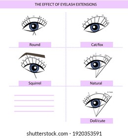 Eyelash Extension Guide. Direction schemes. Tips and tricks for eyelash extension. Infographic vector illustration